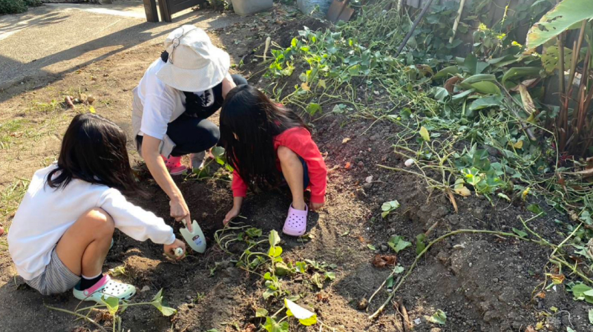 フードサポート